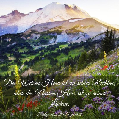 Picture 03 - Prediger 10:2 LUTH1912 - Des Weisen Herz ist zu seiner Rechten; aber des - Bible Verse Picture