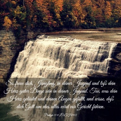 Picture 03 - Prediger 11:9 LUTH1912 - So freue dich, Jüngling, in deiner Jugend und - Bible Verse Picture