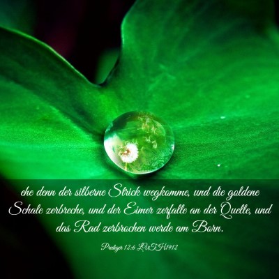 Picture 03 - Prediger 12:6 LUTH1912 - ehe denn der silberne Strick wegkomme, und die - Bible Verse Picture