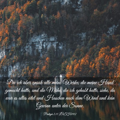 Picture 03 - Prediger 2:11 LUTH1912 - Da ich aber ansah alle meine Werke, die meine - Bible Verse Picture
