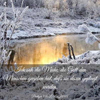 Picture 03 - Prediger 3:10 LUTH1912 - Ich sah die Mühe, die Gott den Menschen gegeben - Bible Verse Picture