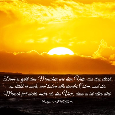 Picture 03 - Prediger 3:19 LUTH1912 - Denn es geht dem Menschen wie dem Vieh: wie dies - Bible Verse Picture
