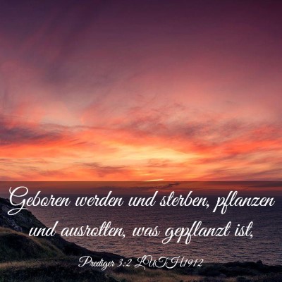 Picture 03 - Prediger 3:2 LUTH1912 - Geboren werden und sterben, pflanzen und - Bible Verse Picture