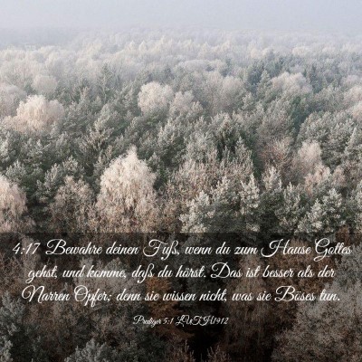 Picture 03 - Prediger 5:1 LUTH1912 - 4:17 Bewahre deinen Fuß, wenn du zum Hause - Bible Verse Picture