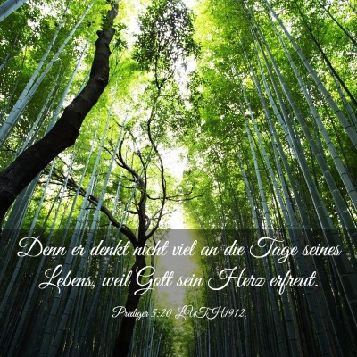 Picture 03 - Prediger 5:20 LUTH1912 - Denn er denkt nicht viel an die Tage seines - Bible Verse Picture