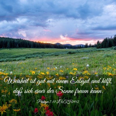 Picture 03 - Prediger 7:11 LUTH1912 - Weisheit ist gut mit einem Erbgut und hilft, daß - Bible Verse Picture