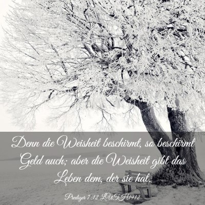 Picture 03 - Prediger 7:12 LUTH1912 - Denn die Weisheit beschirmt, so beschirmt Geld - Bible Verse Picture