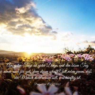Picture 03 - Prediger 7:14 LUTH1912 - Am guten Tage sei guter Dinge, und den bösen Tag - Bible Verse Picture