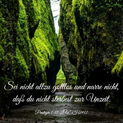 Picture 03 - Prediger 7:17 LUTH1912 - Sei nicht allzu gottlos und narre nicht, daß du - Bible Verse Picture