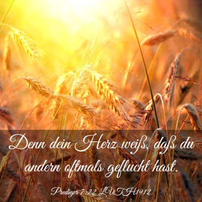 Picture 03 - Prediger 7:22 LUTH1912 - Denn dein Herz weiß, daß du andern oftmals - Bible Verse Picture