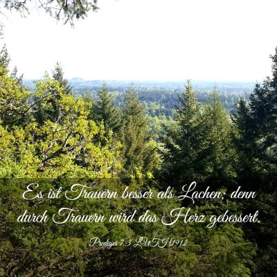 Picture 03 - Prediger 7:3 LUTH1912 - Es ist Trauern besser als Lachen; denn durch - Bible Verse Picture