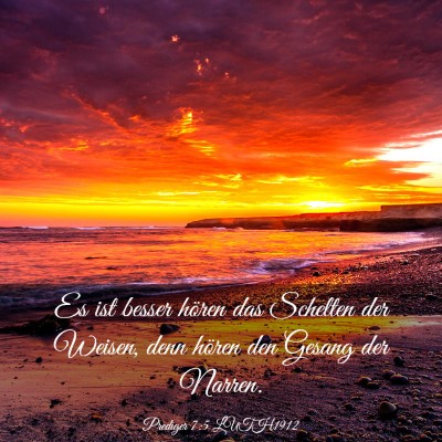 Picture 03 - Prediger 7:5 LUTH1912 - Es ist besser hören das Schelten der Weisen, - Bible Verse Picture