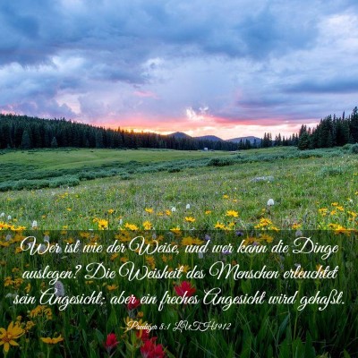 Picture 03 - Prediger 8:1 LUTH1912 - Wer ist wie der Weise, und wer kann die Dinge - Bible Verse Picture
