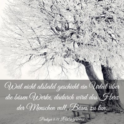Picture 03 - Prediger 8:11 LUTH1912 - Weil nicht alsbald geschieht ein Urteil über die - Bible Verse Picture