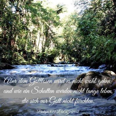 Picture 03 - Prediger 8:13 LUTH1912 - Aber dem Gottlosen wird es nicht wohl gehen; und - Bible Verse Picture