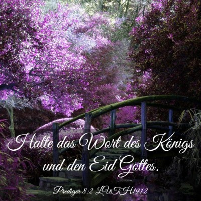 Picture 03 - Prediger 8:2 LUTH1912 - Halte das Wort des Königs und den Eid - Bible Verse Picture