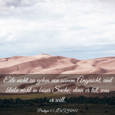 Picture 03 - Prediger 8:3 LUTH1912 - Eile nicht zu gehen von seinem Angesicht, und - Bible Verse Picture