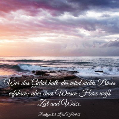 Picture 03 - Prediger 8:5 LUTH1912 - Wer das Gebot hält, der wird nichts Böses - Bible Verse Picture