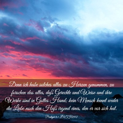 Picture 03 - Prediger 9:1 LUTH1912 - Denn ich habe solches alles zu Herzen genommen, - Bible Verse Picture