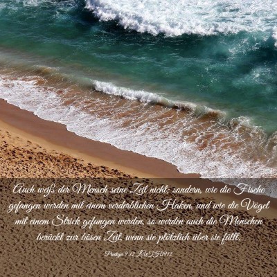 Picture 03 - Prediger 9:12 LUTH1912 - Auch weiß der Mensch seine Zeit nicht; sondern, - Bible Verse Picture