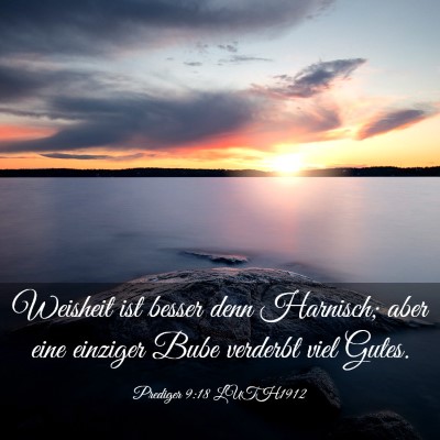 Picture 03 - Prediger 9:18 LUTH1912 - Weisheit ist besser denn Harnisch; aber eine - Bible Verse Picture
