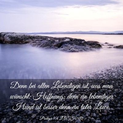 Picture 03 - Prediger 9:4 LUTH1912 - Denn bei allen Lebendigen ist, was man wünscht: - Bible Verse Picture