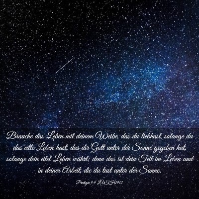 Picture 03 - Prediger 9:9 LUTH1912 - Brauche das Leben mit deinem Weibe, das du - Bible Verse Picture