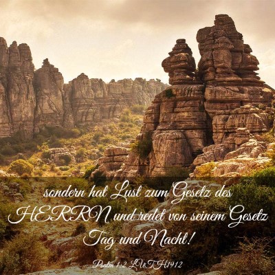 Picture 03 - Psalm 1:2 LUTH1912 - sondern hat Lust zum Gesetz des HERRN und redet - Bible Verse Picture