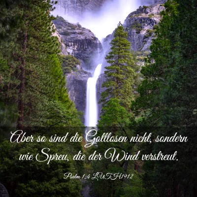 Picture 03 - Psalm 1:4 LUTH1912 - Aber so sind die Gottlosen nicht, sondern wie - Bible Verse Picture