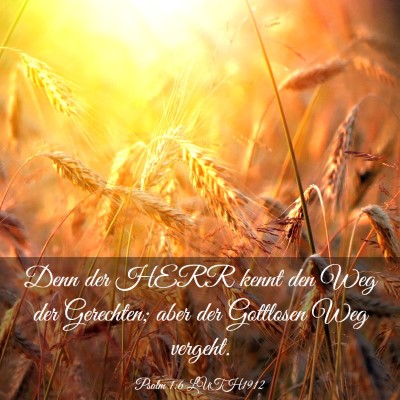 Picture 03 - Psalm 1:6 LUTH1912 - Denn der HERR kennt den Weg der Gerechten; aber - Bible Verse Picture