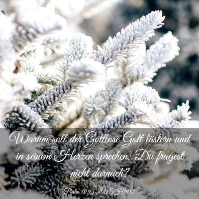 Picture 03 - Psalm 10:13 LUTH1912 - Warum soll der Gottlose Gott lästern und in - Bible Verse Picture