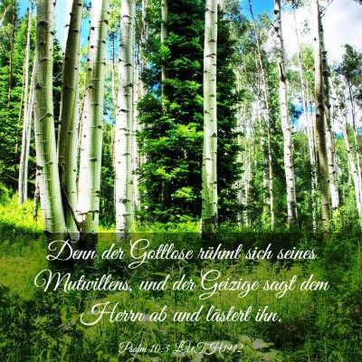 Picture 03 - Psalm 10:3 LUTH1912 - Denn der Gottlose rühmt sich seines Mutwillens, - Bible Verse Picture