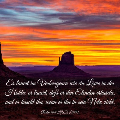 Picture 03 - Psalm 10:9 LUTH1912 - Er lauert im Verborgenen wie ein Löwe in der - Bible Verse Picture