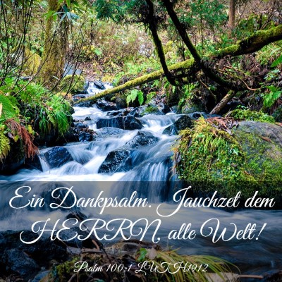 Picture 03 - Psalm 100:1 LUTH1912 - Ein Dankpsalm. Jauchzet dem HERRN, alle - Bible Verse Picture