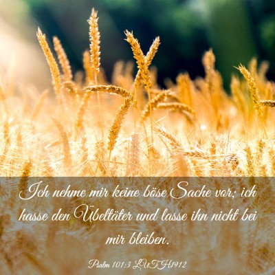 Picture 03 - Psalm 101:3 LUTH1912 - Ich nehme mir keine böse Sache vor; ich hasse - Bible Verse Picture