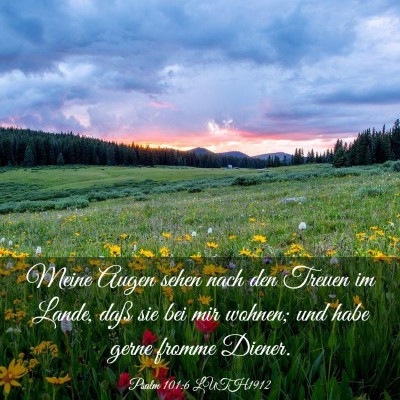 Picture 03 - Psalm 101:6 LUTH1912 - Meine Augen sehen nach den Treuen im Lande, daß - Bible Verse Picture