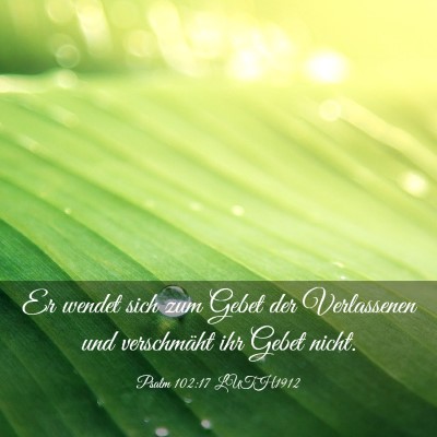 Picture 03 - Psalm 102:17 LUTH1912 - Er wendet sich zum Gebet der Verlassenen und - Bible Verse Picture