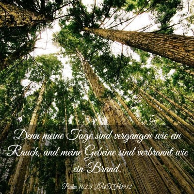 Picture 03 - Psalm 102:3 LUTH1912 - Denn meine Tage sind vergangen wie ein Rauch, und - Bible Verse Picture
