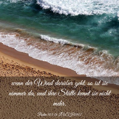 Picture 03 - Psalm 103:16 LUTH1912 - wenn der Wind darüber geht, so ist sie nimmer - Bible Verse Picture