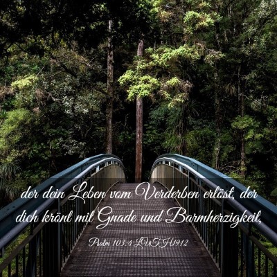 Picture 03 - Psalm 103:4 LUTH1912 - der dein Leben vom Verderben erlöst, der dich - Bible Verse Picture