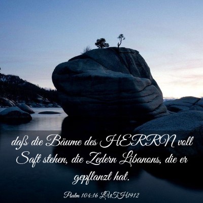 Picture 03 - Psalm 104:16 LUTH1912 - daß die Bäume des HERRN voll Saft stehen, die - Bible Verse Picture