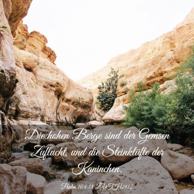 Picture 03 - Psalm 104:18 LUTH1912 - Die hohen Berge sind der Gemsen Zuflucht, und die - Bible Verse Picture