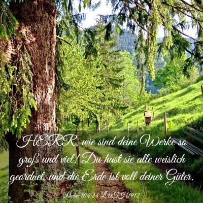Picture 03 - Psalm 104:24 LUTH1912 - HERR, wie sind deine Werke so groß und viel! Du - Bible Verse Picture