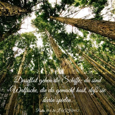 Picture 03 - Psalm 104:26 LUTH1912 - Daselbst gehen die Schiffe; da sind Walfische, - Bible Verse Picture