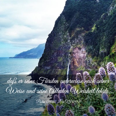 Picture 03 - Psalm 105:22 LUTH1912 - daß er seine Fürsten unterwiese nach seiner - Bible Verse Picture