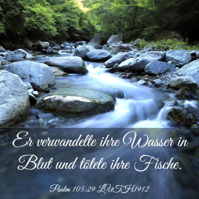 Picture 03 - Psalm 105:29 LUTH1912 - Er verwandelte ihre Wasser in Blut und tötete - Bible Verse Picture