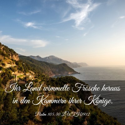 Picture 03 - Psalm 105:30 LUTH1912 - Ihr Land wimmelte Frösche heraus in den Kammern - Bible Verse Picture