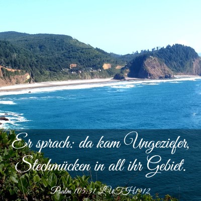 Picture 03 - Psalm 105:31 LUTH1912 - Er sprach: da kam Ungeziefer, Stechmücken in all - Bible Verse Picture