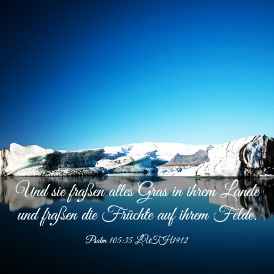 Picture 03 - Psalm 105:35 LUTH1912 - Und sie fraßen alles Gras in ihrem Lande und - Bible Verse Picture