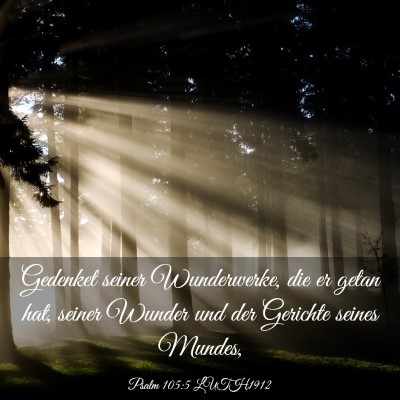 Picture 03 - Psalm 105:5 LUTH1912 - Gedenket seiner Wunderwerke, die er getan hat, - Bible Verse Picture